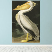 Toile Pélican blanc américain, les oiseaux d'Amérique d' (Insitu (Plancher de Bois))