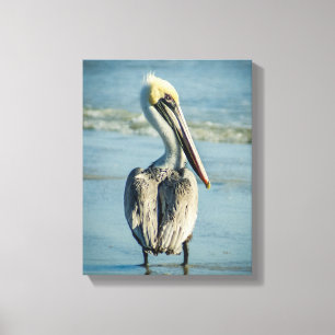 Toile Pélican sur la plage de Floride
