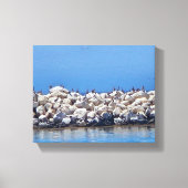 Toile Pélicans sur les rochers sur le magnifique Pacifiq (Recto)