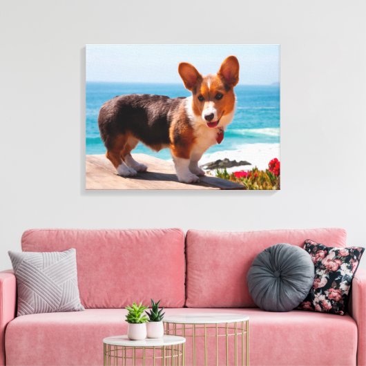 Toile Pembroke Welsh Corgi puppy standing on table (Insitu(Salon))