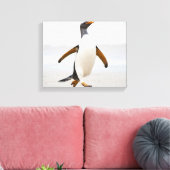 Toile Penguin Gentoo (Insitu(Salon))