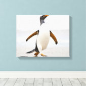 Toile Penguin Gentoo (Insitu (Plancher de Bois))