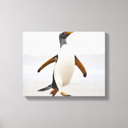 Toile Penguin Gentoo (Recto)