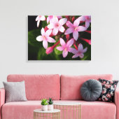 Toile Pentas (Insitu(Salon))