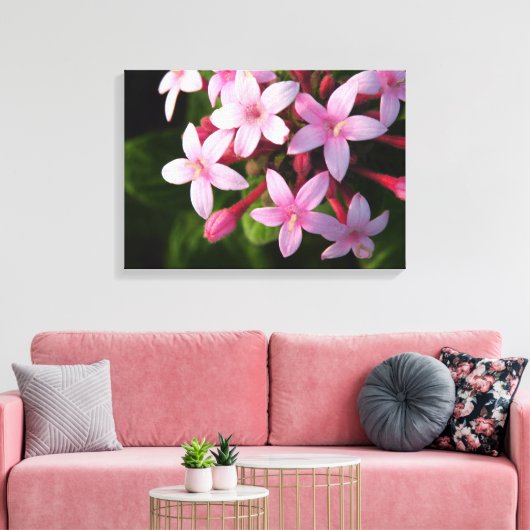 Toile Pentas (Insitu(Salon))