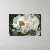 Toile Peonies d'arbre de 36 po x 24 po (Recto)