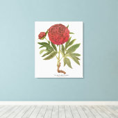 Toile Peonies vintages, Fleurs de pivoines par Basilius  (Insitu (Plancher de Bois))