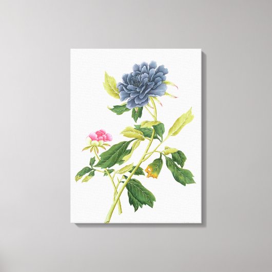 Toile Peony (Recto)