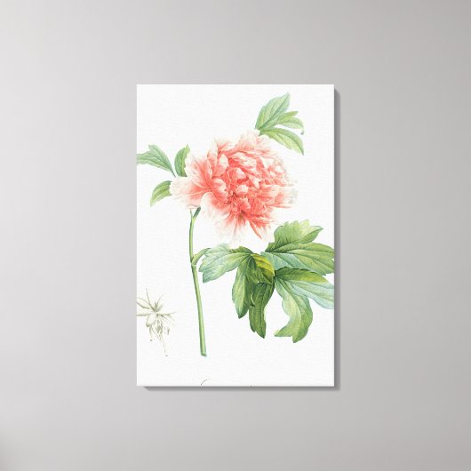 Toile Peony, 1799 (Recto)