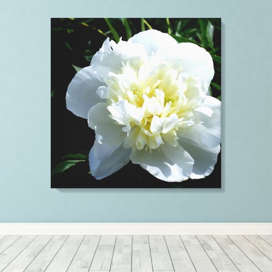 Toile Peony blanc (Insitu (Plancher de Bois))