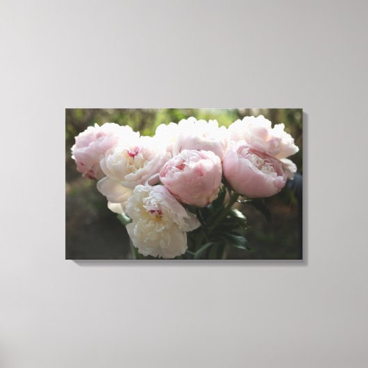 Toile Peony Canvas Art (Recto)
