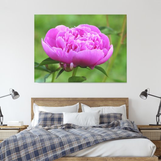 Toile Peony rose (Insitu(Chambre))