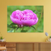 Toile Peony rose (Insitu(Salon))