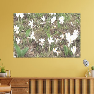 Toile Perce-Neige de Printemps en Édition Pastel Douce
