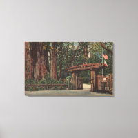 Père Noël Cruz County, CA Entrée de Big Trees Park