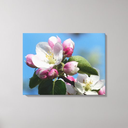 Toile Perfect Apple Blossom WrappedCanvas (Gloss) (Recto)