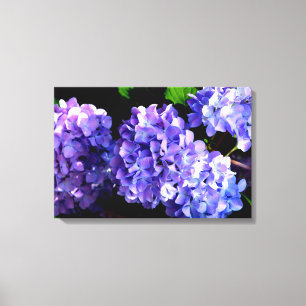 Toile Périwinkel hydrangeas violet bleu fleur floral