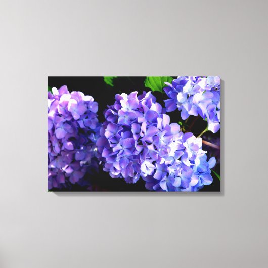 Toile Périwinkel hydrangeas violet bleu fleur floral (Recto)