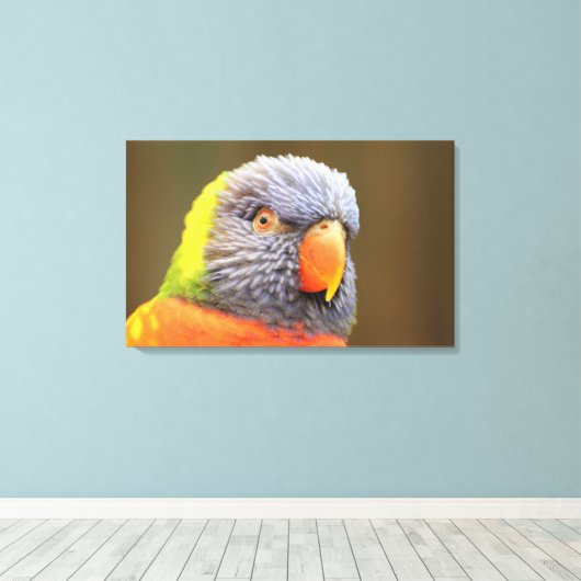 Toile Perroquet (Insitu (Plancher de Bois))