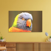 Toile Perroquet (Insitu(Salon))