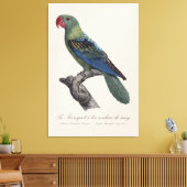 Toile Perroquet a bec couleur sang / Perroquet à bec (Insitu(Salon))