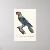 Toile Perroquet a bec couleur sang / Perroquet à bec (Recto)