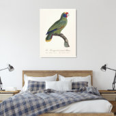 Toile Perroquet à queue rouge, Amazona Brasiliensis (Insitu(Chambre))