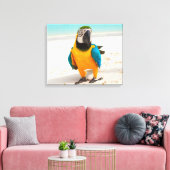 Toile Perroquet coloré sur le sable blanc (Insitu(Salon))