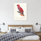 Toile Perroquet Eclectus de Vosmaer, Eclectus Roratus Vo (Insitu(Chambre))
