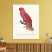 Toile Perroquet Eclectus de Vosmaer, Eclectus Roratus Vo (Insitu(Salon))