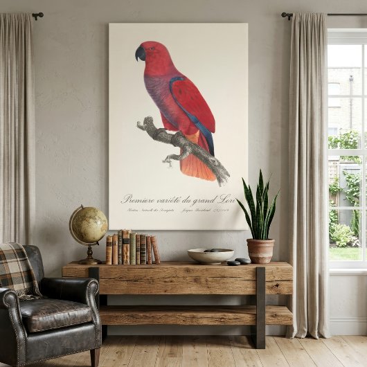 Toile Perroquet Eclectus de Vosmaer, Eclectus Roratus Vo