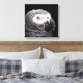 Toile Perroquet Gris Africain (Insitu(Chambre))