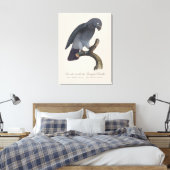 Toile Perroquet gris Timneh, Psittacus Timneh (Insitu(Chambre))