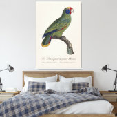 Toile Perroquet joues bleues / Amazone à queue rouge (Insitu(Chambre))