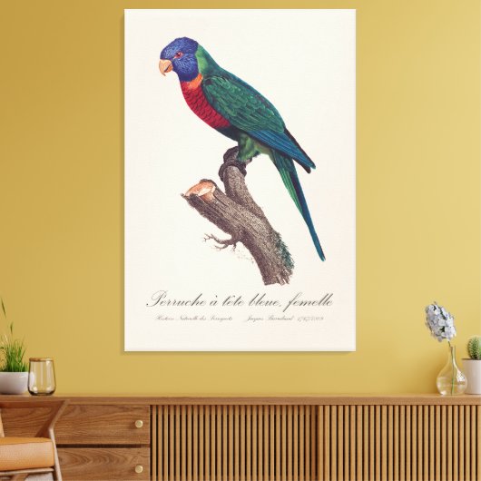 Toile Perruche a tete bleue, femelle / Rainbow lorikeet, (Insitu(Salon))