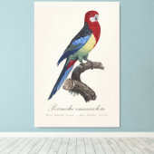Toile Perruche omnicolore / Eastern rosella  (Insitu (Plancher de Bois))