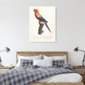 Toile Perruche soleil mâle, Aratinga solstitialis (Insitu(Chambre))