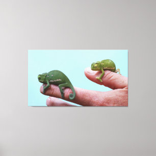 Toile Perspective des caméléons de bébé