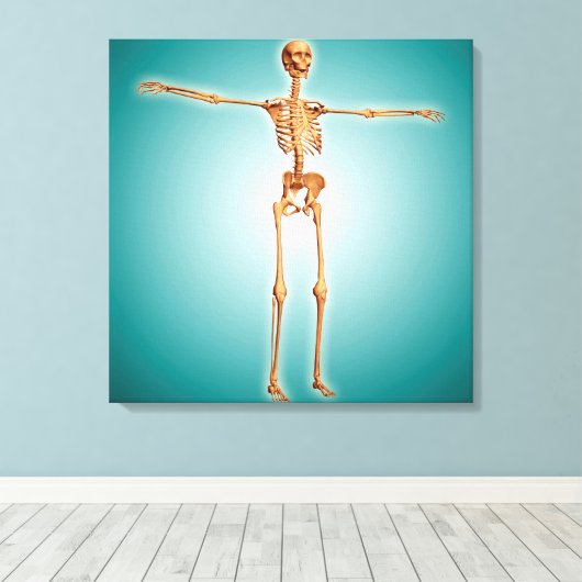 Toile Perspective Du Système Squelettique Humain (Insitu (Plancher de Bois))