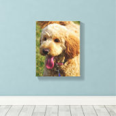 Toile Petit chien Goldendoodle (Insitu (Plancher de Bois))