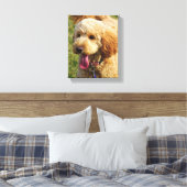 Toile Petit chien Goldendoodle (Insitu(Chambre))