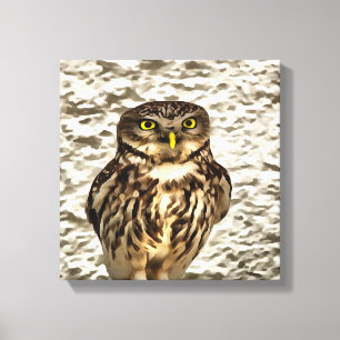 Toile Petit Chouette Brown Portrait Artistique