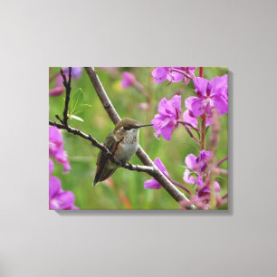 Toile petit colibri