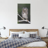 Toile Petit-duc de l'Est, Megascops asio, Otus 2 (Insitu(Chambre))