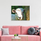 TOILE PETIT MOQUETTE (Insitu(Salon))