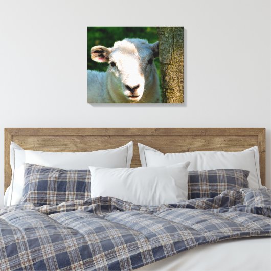 TOILE PETIT MOQUETTE (Insitu(Chambre))