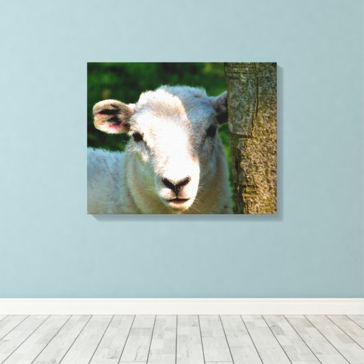 TOILE PETIT MOQUETTE (Insitu (Plancher de Bois))