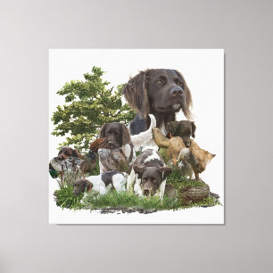 Toile Petit Munsterlander