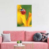 Toile Petite dame sur une fleur (Insitu(Salon))