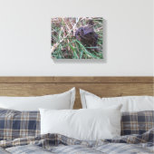 Toile Petite grenouille (Insitu(Chambre))